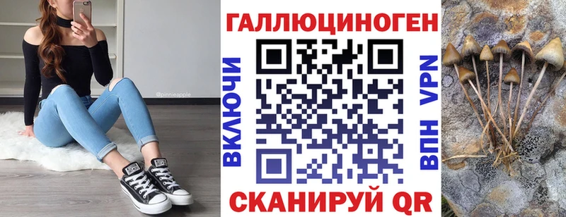 Галлюциногенные грибы MAGIC MUSHROOMS  купить наркоту  Глазов 
